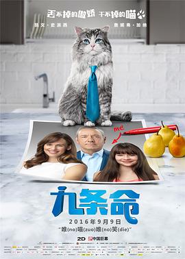 国产hs免费高清在线观看