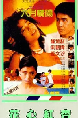 国产在线不卡免费播放