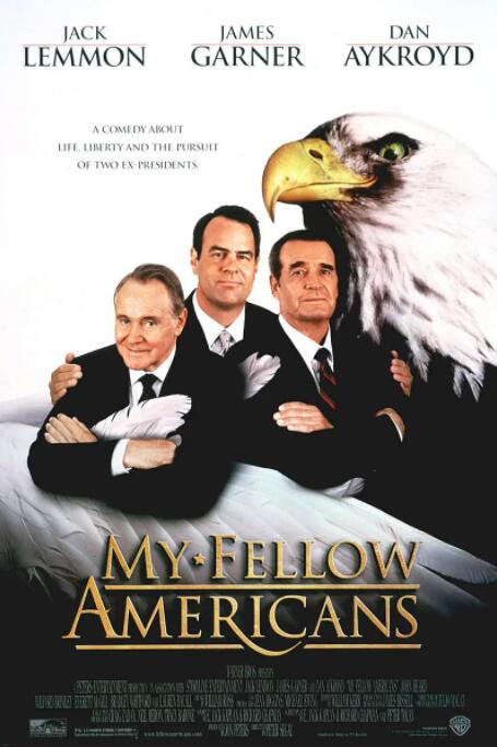 男男肉视频