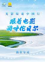 国内精品在线播放