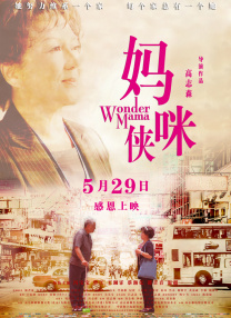 花蝴蝶电视剧免费观看