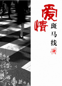 久久99精品久久久久久国产越南
