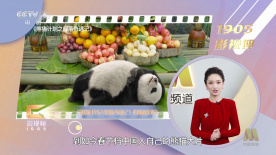 欧美91大片